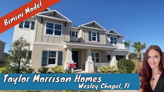 New Home Tour  Taylor Morrison  Bimini Model  Watergrass Wesley Chapel Fl [upl. by Ardnuasak]