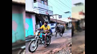 Rx100 vs bull 🐃 [upl. by Ellerrehc]