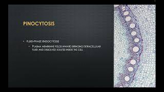 Endocytosis and Exocytosis [upl. by Daberath472]