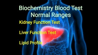 Normal Range of Biochemistry Test  Liver Function Test  Kidney Function Test  Lipid Profile [upl. by Danelle]