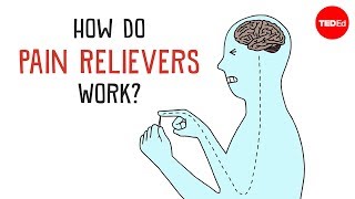 How Do Pain Relievers Work  George Zaidan [upl. by Zeb]