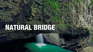 Natural Bridge Springbrook National Park 💦 [upl. by Ellehcin]