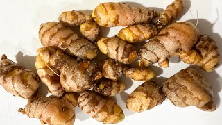 How to store turmeric and ginger [upl. by Ateval948]