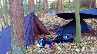 WILD CAMP IN THETFORD FOREST [upl. by Cori857]