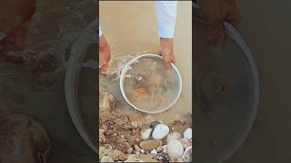 Lake Superior Rockhounding Finding the gemstone 💎ampfinding stones in Gulki riverampgeology gemstones [upl. by Ennaecarg9]