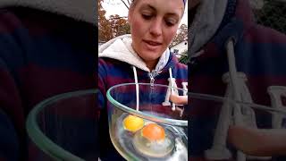 How to make your Chickens egg yolks Darker [upl. by Aicelaf]