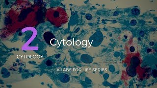 Cytology [upl. by Aivun]