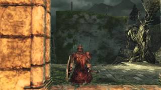 Dark Souls 2  The Place Unbeknownst [upl. by Einnel]