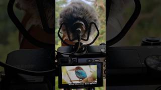 Range test of Sony G Lens 200mm  600mm with JBL shotgun mic [upl. by Metah]