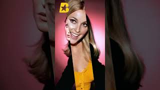 Sharon Tate Biography  Life Love and Murder shorts sharontate biofamous biography [upl. by Arries]