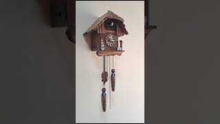 Cuckoo clocks just add such a whimsical and joyful feel to the home 🩵🩵🩵 cuckoo clock time bird [upl. by Elleuqar]