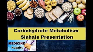 Carbohydrate Metabolism Sinhala Presention [upl. by Enelrad]