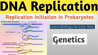 Prokaryotic DNA Replication  Prokaryotic DNA replication initiation process genetics [upl. by Neffirg]