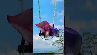 shorts Thrilling Adventure Amber Swing at Ambuluwawa srilanka foryou traveltraveler adventure [upl. by Allayne]