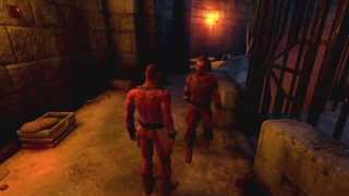 Dreamfall Chapters Friars Keep walkthrough without commentary track [upl. by Allegna496]