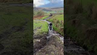 Montesa 4rt Inch perfect trials [upl. by Norahs]