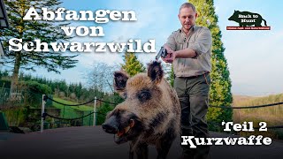 Abfangen von Schwarzwild  Teil 2 Kurzwaffe [upl. by Aden]