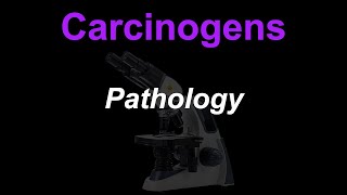 Carcinogens [upl. by Song198]