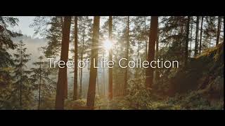 Clogau  The Tree of Life® Collection [upl. by Acinaj]