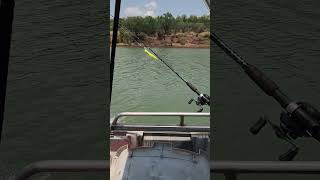 Timber Creek fishing barramundi barram [upl. by Humfrid]