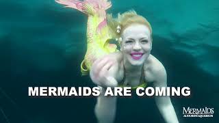 Mermaids at Audubon Aquarium [upl. by Eliseo]