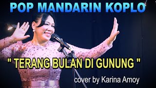 Lagu Mandarin KoploTERANG BULAN DI GUNUNG   Titik Sandora   Cover  Karina Amoy [upl. by Uehttam307]