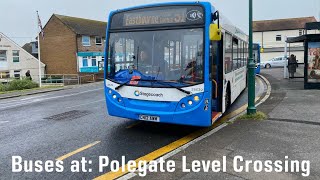 Buses at Polegate Level Crossing 28052024 [upl. by Epillihp563]