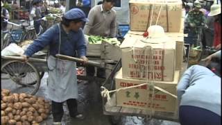 Lijiang China part 3 of 5 Old Town narrow lanes hotels restaurants and open market [upl. by Ahsirak839]