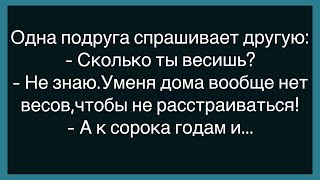 💎Как Два Зека Сидели В Одной Камере Сборник Смешных Анекдотов Юмор Настроение [upl. by Airdnekal]