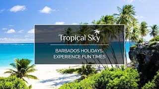 Barbados Holidays Experience Fun Times [upl. by Nnaeerb]