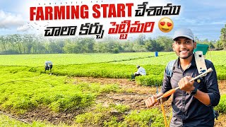 Chala karchupetti Mari farming start chesamu farmer farming funny trending shorts [upl. by Yatnahc]