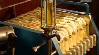 How Vegetable Oil Is Made [upl. by Cofsky]