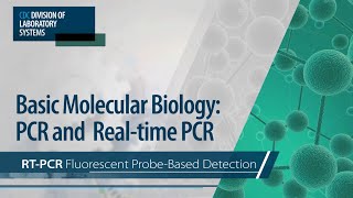 Basic Molecular Biology PCR and RealTime PCR – RTPCR Fluorescent ProbeBased Detection [upl. by Kassity]