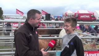 Irish Farmers Journal Heifer amp Hogget competition 2013 [upl. by Key]