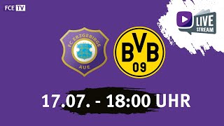 Testspiel FC Erzgebirge Aue  Borussia Dortmund [upl. by Reich291]