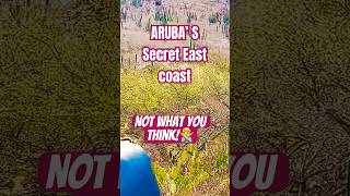 Why You Need to Visit Arubas Secret East CoastIt has NO Beach trendingshortsaruba [upl. by Taryne]