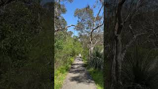 Hindmarsh falls falls southaustralia nature [upl. by Ciardap407]