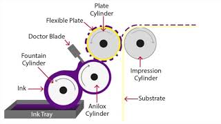 Flexographic Printing Explained [upl. by Dasha]