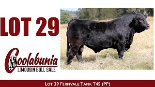 Lot 29 Fernvale Tank T45 PP [upl. by Devaj]