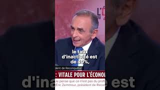 Aton besoin de main doeuvre étrangère  zemmour [upl. by Aicemat]