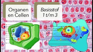 Thema 1 Organen en cellen basisstof 1 tm 3 [upl. by Brittany859]