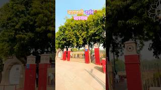 वाराणसी दर्शन सारनाथ मंदिर 💞🛕varanasi varanasitourism kashi banaras sarnath sarnathtemple [upl. by Ztnaj]