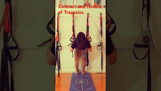 Trapezius Reset Contract and release your Trapezius [upl. by Ahsil]