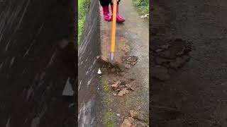 Good tools for clearing roadside weeds [upl. by Aicemed113]