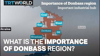 Importance of Donbass region [upl. by Hayott]