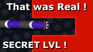 Slitherio  SECRET LVL UNLOCKED amp FINISHED [upl. by Ohnuj674]