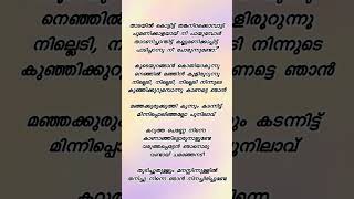 Karutha penne Song Lyrics  Thaadayil kotittu portion nostalgicmalayalamsongs alltimefavorites [upl. by Norred]