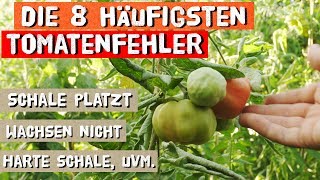 Die 8 häufigsten Fehler beim Tomatenanbau [upl. by Espy]