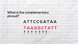 Practice writing the complementary strand of DNA and mRNA during transcription [upl. by Edlin]