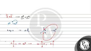 Given below are two statements Statement I  \S  N  2\ reactions are stereospecific i [upl. by Dibbrun]